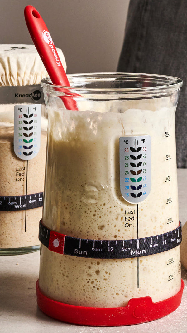 Sourdough Starter Jars & Starter Culture