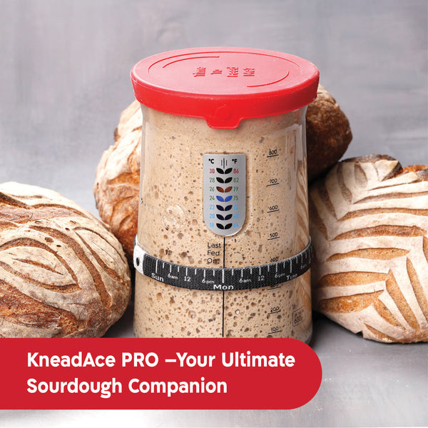 KneadAce® PRO  34 Oz Sourdough Starter Jar