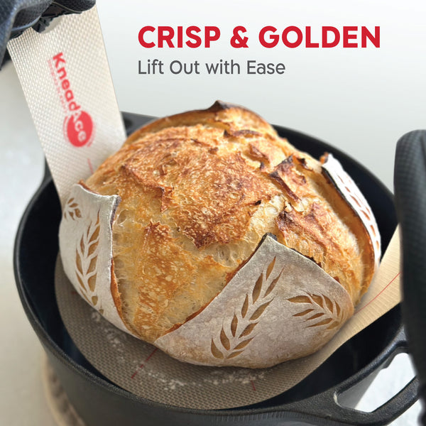 KneadAce 6 Products Premium Sourdough Essentials Kit