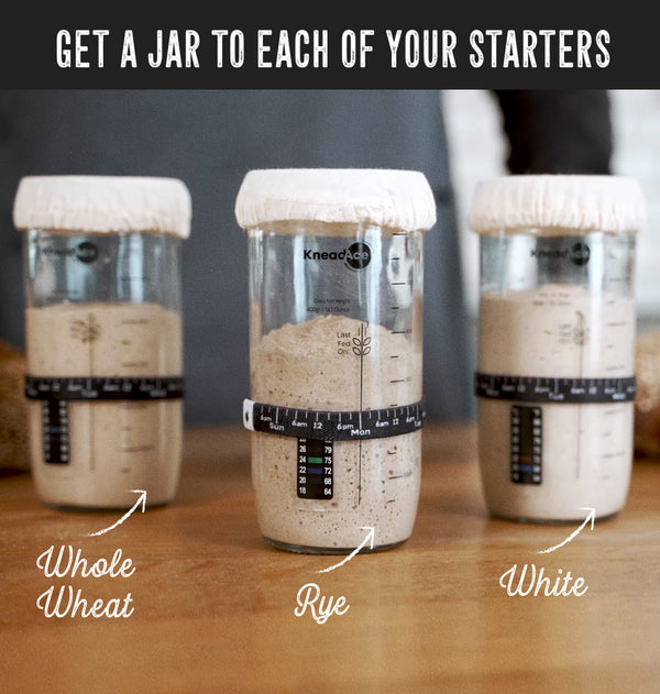 The Best Jar For Your Sourdough Starter
